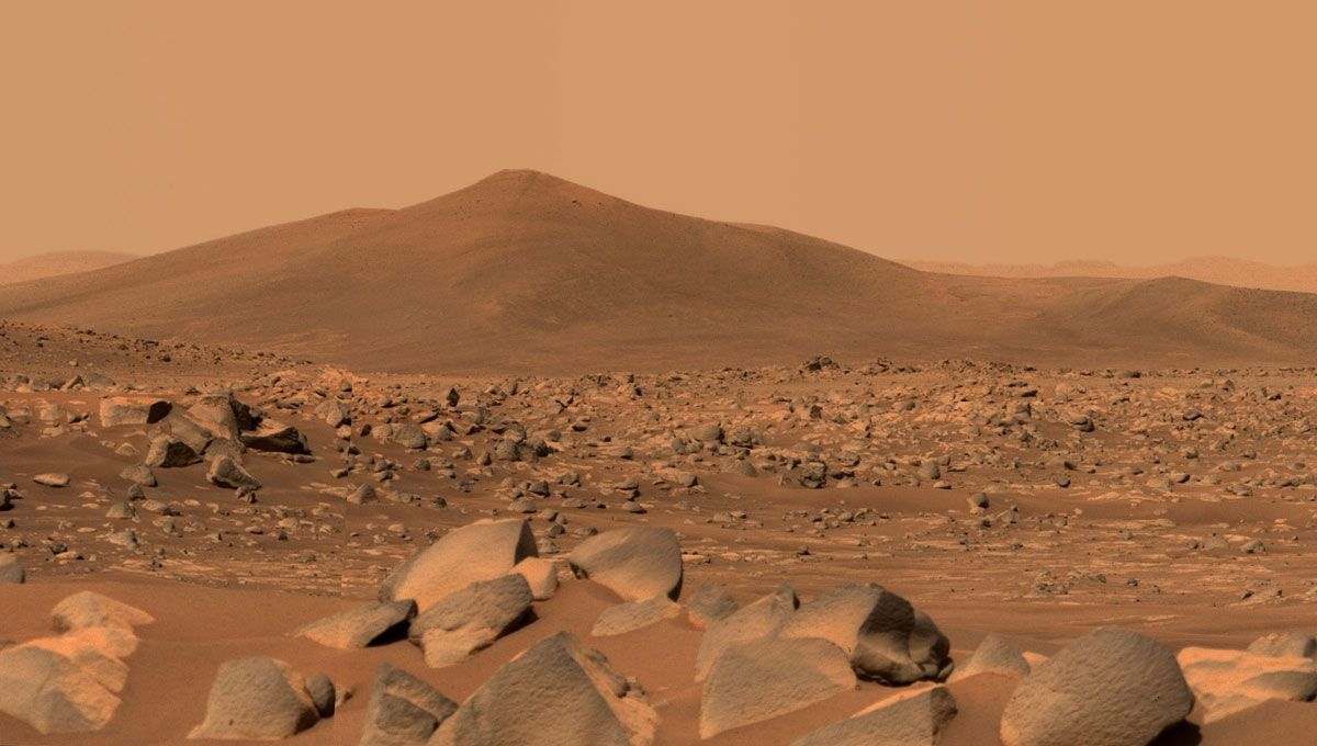 Ilustrasi Planet Mars. (Dok/Mar.NASA.Gov).