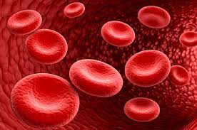 Penyebab dan Cara Mengatasi Darah Rendah