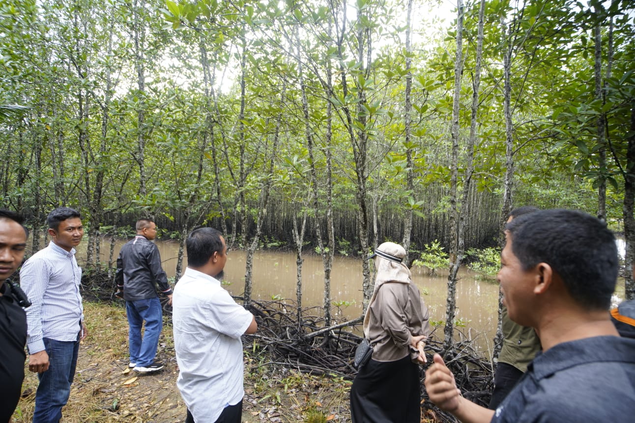 Gubernur Sulsel Andi Sudirman Sulaiman melakukan Sharing terkait Carbon Trading dengan mengunjungi hutan mangrove sekaligus menanam bibit mangrove di daerah Bintan bersama sejumlah kepala Organisasi Perangkat Daerah (OPD)